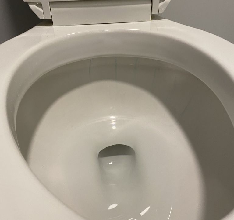 toilet-bowl-1
